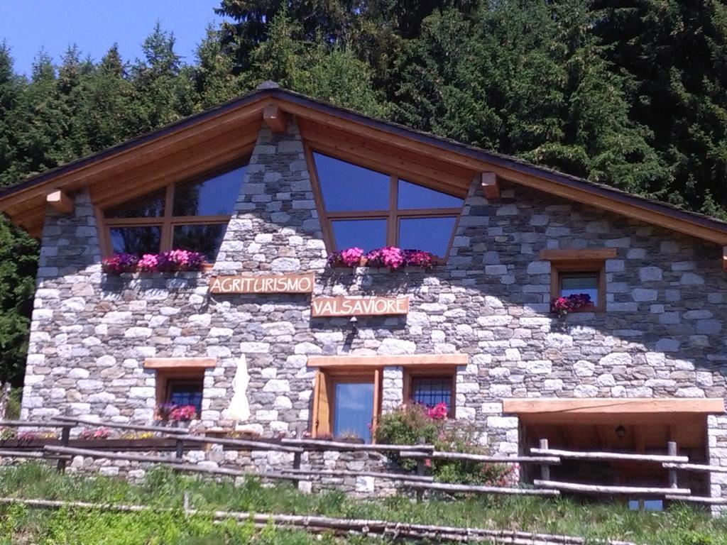 Agriturismo Valsaviore Cevo エクステリア 写真