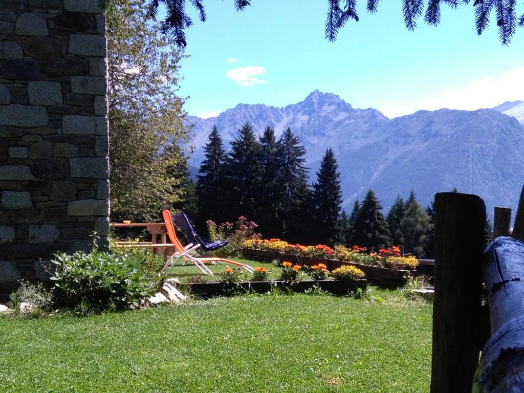 Agriturismo Valsaviore Cevo エクステリア 写真
